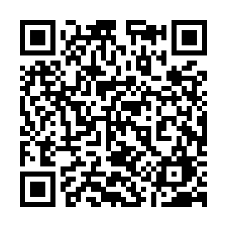 QR code for 110MSG