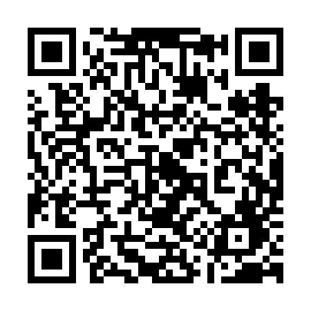 QR code for 110VEF
