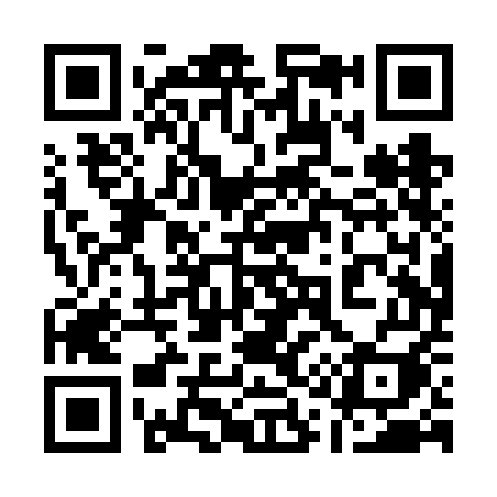 QR code for 110VEI