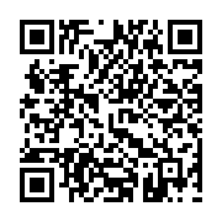 QR code for 111HSF