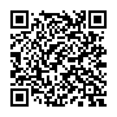 QR code for 111UDF