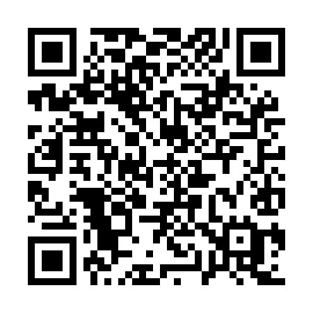 QR code for 113MIE