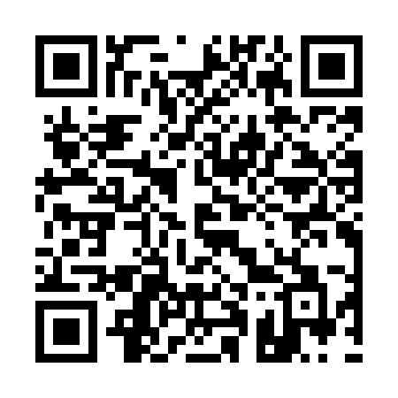 QR code for 113MMA