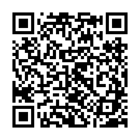 QR code for 119BLI