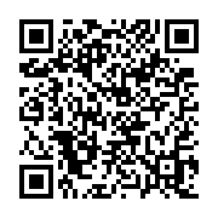 QR code for 119GAO