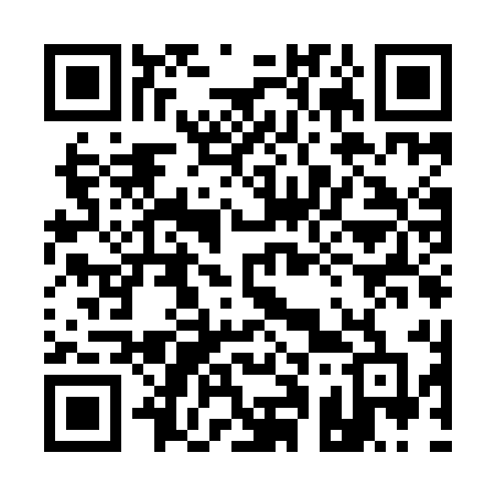 QR code for 119IED