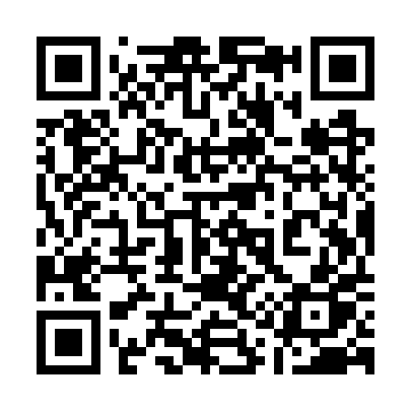 QR code for 119WPP