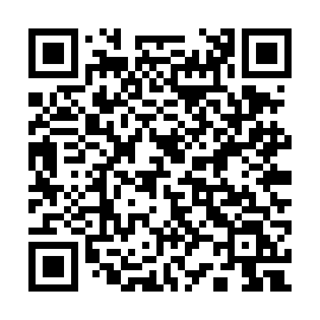 QR code for 125TFL