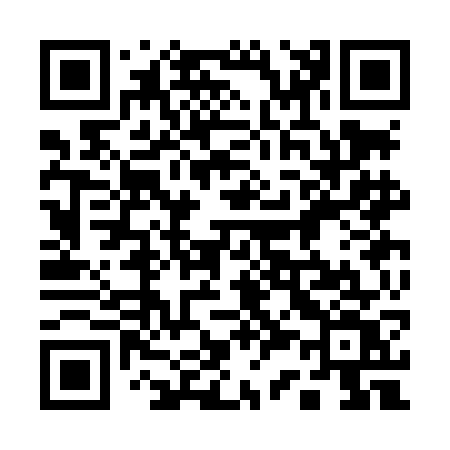 QR code for 133LGV
