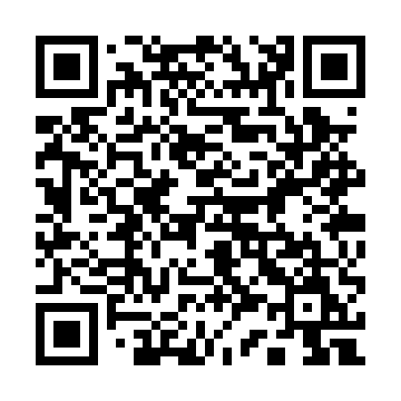 QR code for 133PUM