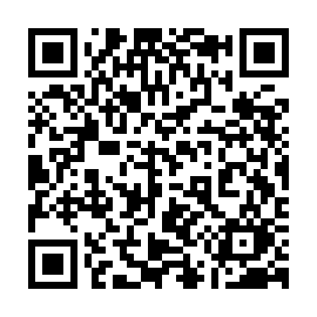 QR code for 153ICO