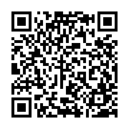 QR code for 155MIV
