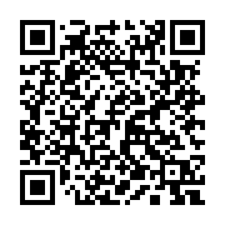 QR code for 155MSP