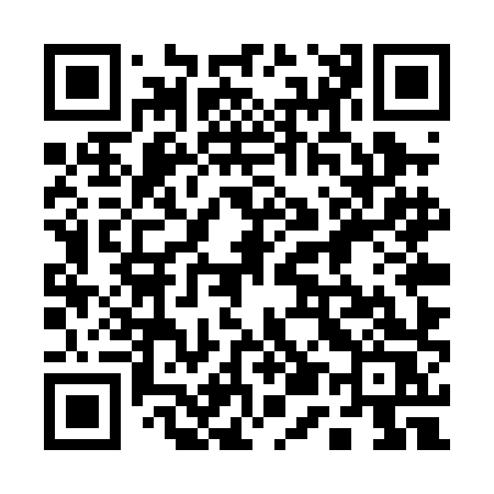 QR code for 155PHS