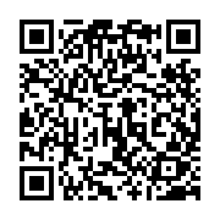 QR code for 160LIZ