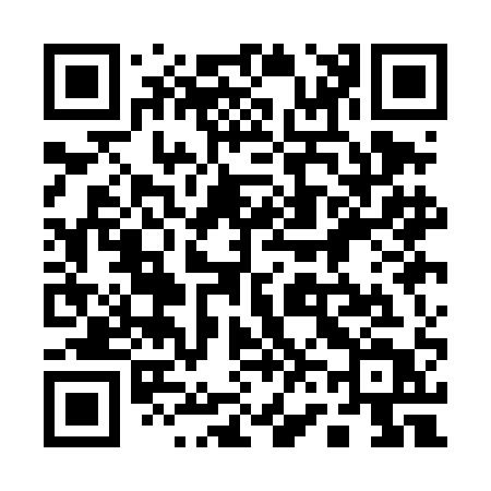 QR code for 161DAT
