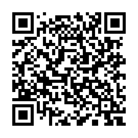 QR code for 161MII