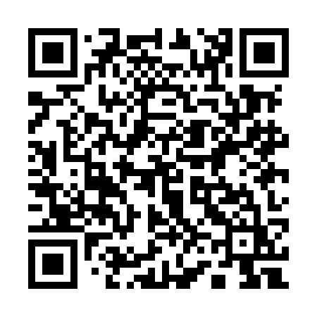 QR code for 161MKZ