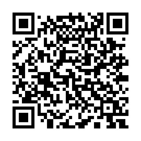 QR code for 161PGV