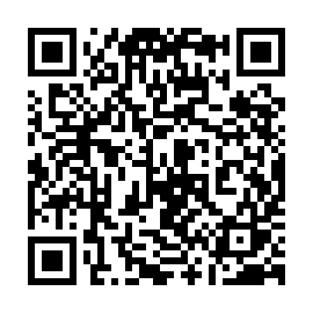 QR code for 161QIS