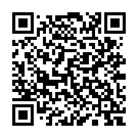 QR code for 161VIG