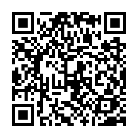 QR code for 161WSJ