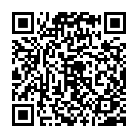 QR code for 161YZP