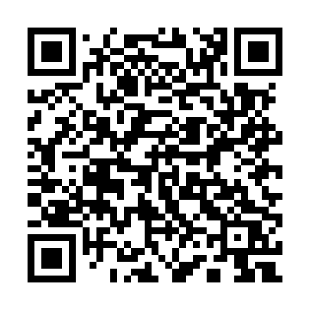 QR code for 165MPS