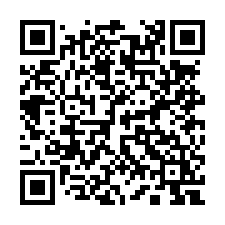 QR code for 173LUZ