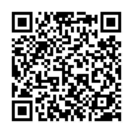 QR code for 193DSI
