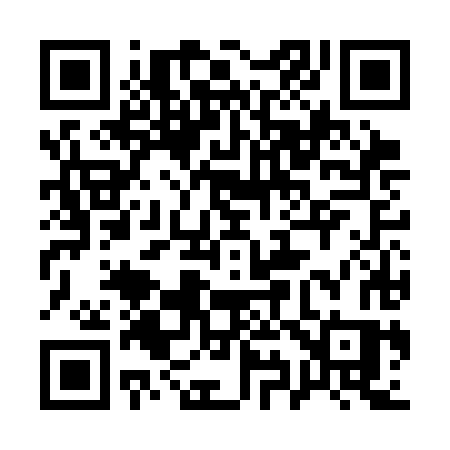 QR code for 196CHS