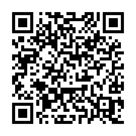 QR code for 196MIC