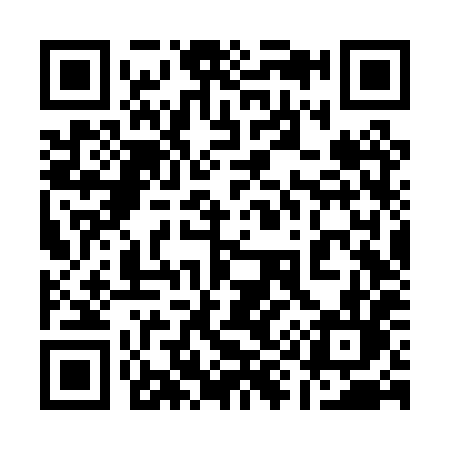 QR code for 196PXL