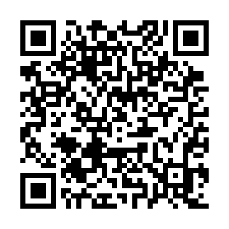 QR code for 196SDK