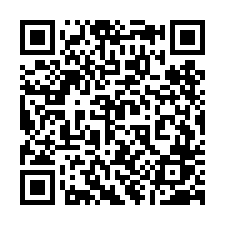 QR code for 197DDR