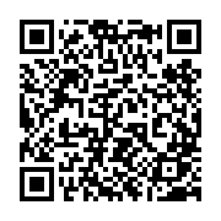 QR code for 198DLP