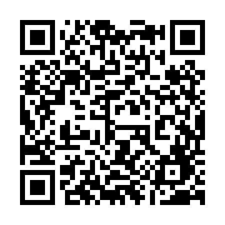 QR code for 198PUF
