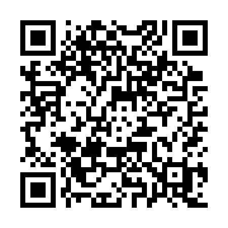 QR code for 199SSI