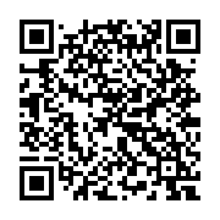 QR code for 203PUK