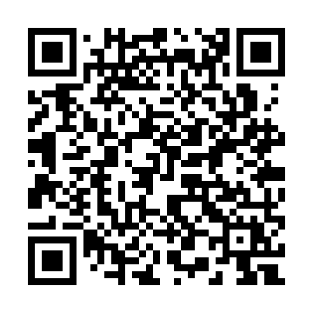 QR code for 203SMX