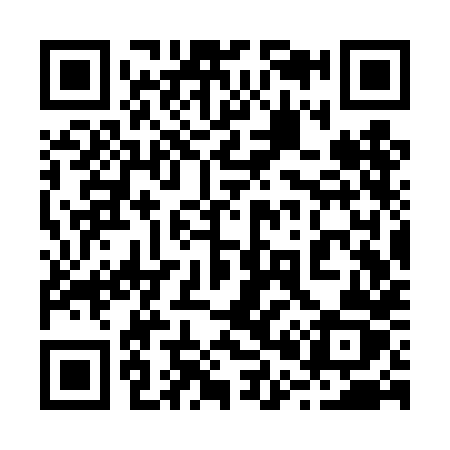 QR code for 203THZ