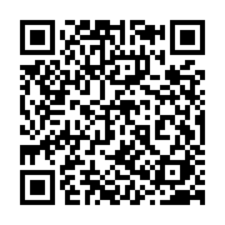 QR code for 205MZI