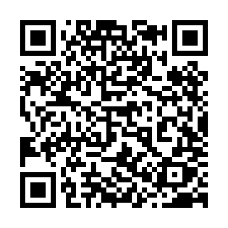QR code for 206PMX