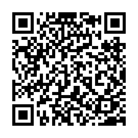 QR code for 206RAP