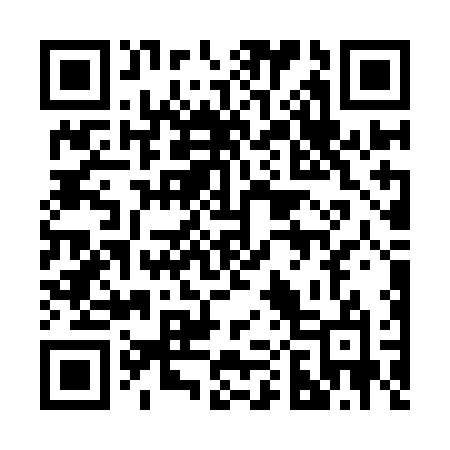 QR code for 206YNO