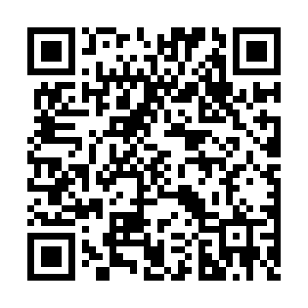 QR code for 207IDP