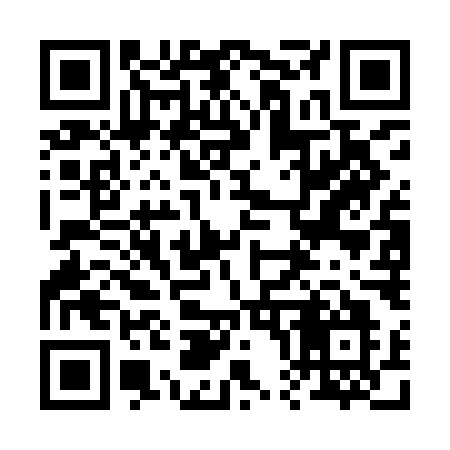 QR code for 207IMO