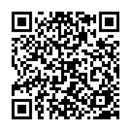QR code for 207IZE