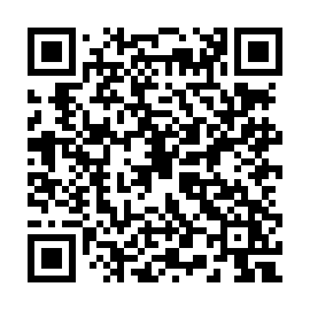 QR code for 208LDZ