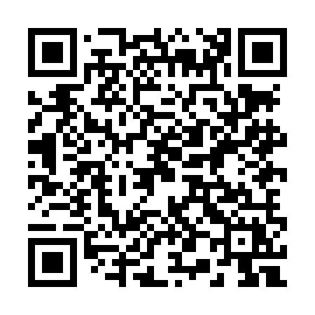 QR code for 208LMX